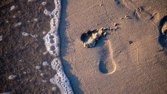 Fu&szlig;spuren im Sand - &copy; Foto: Stefan Sauer/dpa-Zentralbild/dpa-tmn