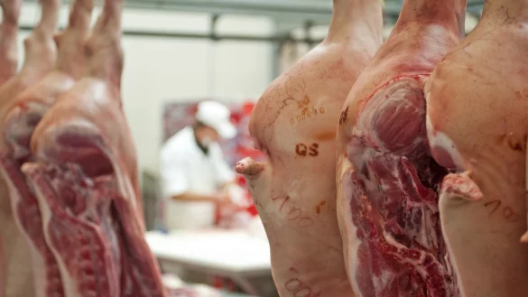 Fleischindustrie - &copy; Foto: Hendrik Schmidt/dpa-Zentralbild/dpa