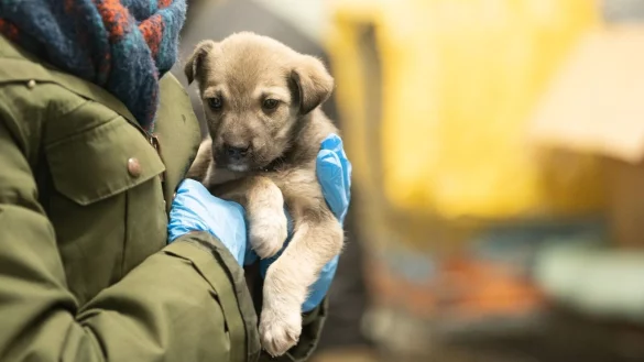 - &copy; Sebastian Gollnow/dpa