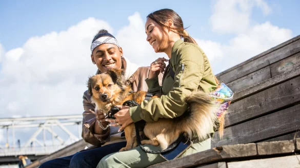 Neu in den Top-Ten: Frieda als Hunde- und Katzennamen beliebt - &copy; Foto: Christin Klose/dpa-tmn