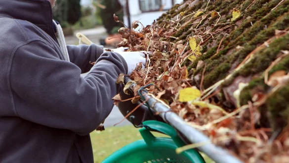 Hausbesitzer aufgepasst - &copy; Foto: Nestor Bachmann/dpa-tmn