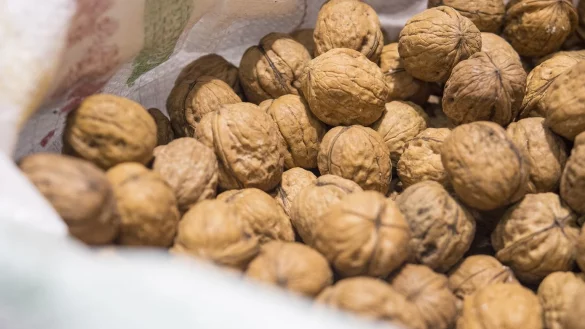 Frische Waln&uuml;sse - &copy; Foto: Robert G&uuml;nther/dpa-tmn