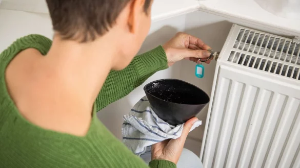 - &copy; Christin Klose/dpa-tmn