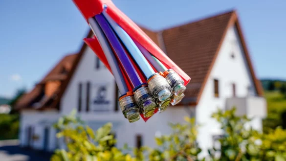 - &copy; Uwe Anspach/dpa/dpa-tmn