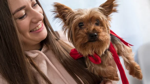 Ein kleiner Hund: Die Freude ist gro&szlig; - &copy; Foto: Christin Klose/dpa-tmn