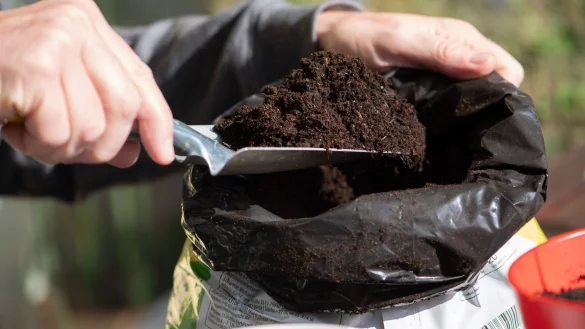 Klimafreundlich G&auml;rtnern: So l&auml;sst sich Torferde ersetzen - &copy; Foto: Andrea Warnecke/dpa-tmn