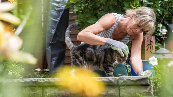 V&ouml;llig von der Rolle: Wenn Vierbeiner von Wespen gestochen werden - &copy; Foto: Christin Klose/dpa-tmn