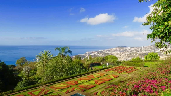 Madeira - &copy; Foto: Daniela David/dpa-tmn