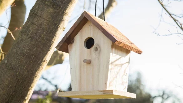 Was bei Nistk&auml;sten f&uuml;r Vogelk&uuml;ken z&auml;hlt - &copy; Foto: Christin Klose/dpa-tmn