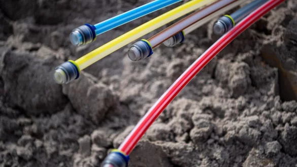 - &copy; Sina Schuldt/dpa