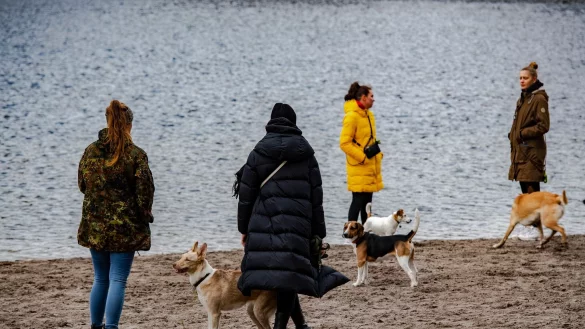 - &copy; Paul Zinken/dpa/Archivbild