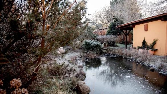 Gartenteich darf nicht zufrieren - &copy; Foto: Zacharie Scheurer/dpa-tmn