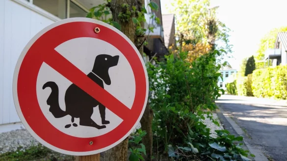 In ganz Lippe &auml;rgern sich Anwohner &uuml;ber Hundehaufen, die auf ihren Grundst&uuml;cken hinterlassen werden - wie das Foto aus dem Detmolder Nachtigallenweg zeigt. In Lage greift eine Anwohnerin zu besonders kreativen Methoden, um auf das Problem aufmerksam zu machen. - &copy; Yvonne Glandien