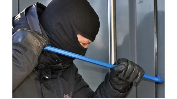 Offenbar haben die T&auml;ter einen Hang zu Kleintieren und V&ouml;geln. - &copy; Symbolfoto: Pixabay