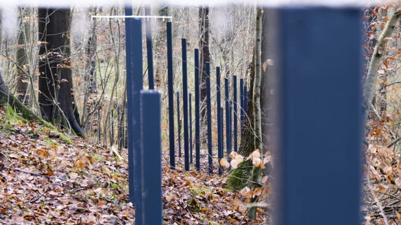Wildschweinzaun - &copy; Foto: Frank Molter/dpa