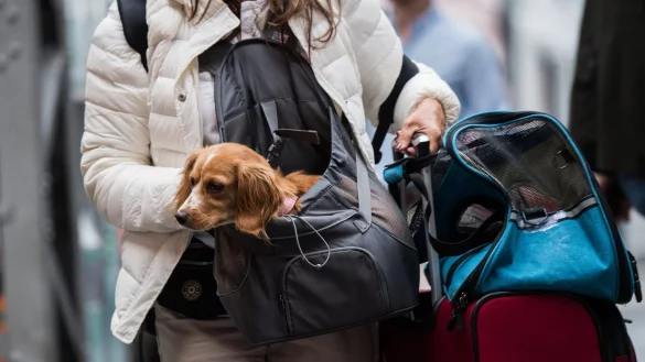 Bahnreisende mit Hund - &copy; Foto: Andreas Arnold