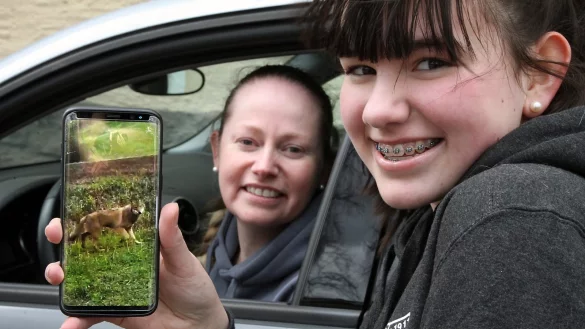 Emily Schulz hat den möglichen Wolf mit ihrem Smartphone aus dem Autofenster gefilmt, als sie mit ihrer Mutter Julia gerade Eschenbruch passiert hatte. - © Bernhard Preuss