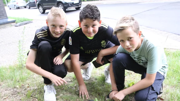 Moritz (v. l.), Hassan und Max zeigen auf die Stelle, wo sie das Portemonnaie gefunden haben. - © Björn Kenter