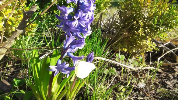 - © Kirsten Fuhrmann