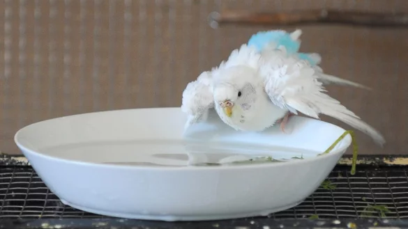 Achtung Keimfalle - &copy; Foto: Caroline Seidel/dpa-tmn