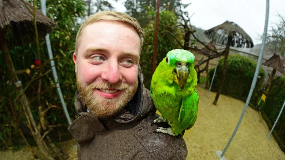 Die M&uuml;lleramazone &bdquo;Coco" trotzt am Samstag in Heiligenkirchen dem Regen und posiert mit dem Vogelpark-Gesch&auml;ftsf&uuml;hrer Marc-Philip Eckstein f&uuml;r ein Foto.&nbsp; - &copy; Nicole Ellerbrake