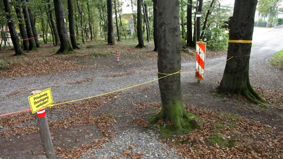 Unmittelbar hinter Parkplatz vom Aussichtsturm - &copy; Bernhard Preuss