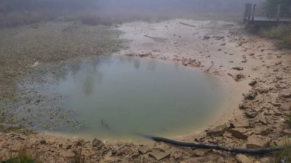 Der Wasserstand des H&ouml;pperteichs wurde vor dem Abfischen abgesenkt. - &copy; Symbolbild: Pixabay