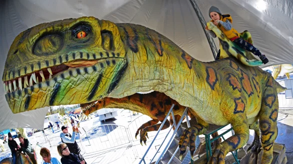 Ein wilder Ritt: Auf dem "Dino-Karussell" sitzt Emil Pepe aus Bielefeld und hat seinen Spa&szlig;. - &copy; Nicole Ellerbrake