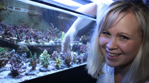 Liebt die Vielfalt aus dem Meer: Anna Martin z&uuml;chtet zusammen mit ihrem Ehemann Andreas Korallen. Die Tiere verkauft sie an Interessenten im ganzen Land. - &copy; Sandra Castrup