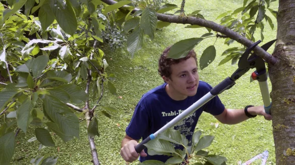 Bypass oder Amboss? - &copy; Foto: selbst ist der&nbsp;Mann/dpa