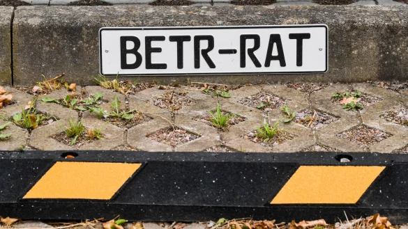 - &copy; Jens Kalaene/dpa-Zentralbild/dpa-tmn