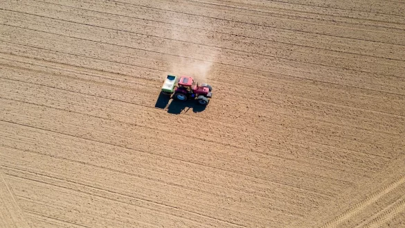 Landwirtschaft - &copy; Foto: Jens B&uuml;ttner/dpa-Zentralbild/dpa