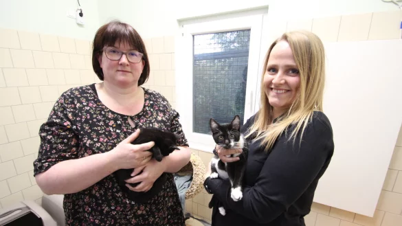 Tierheimleiterin Kerstin Sanker (links) und Jessica Dreblow, Kassiererin des Tierschutzvereins, mit kleinen Katzen. Die beiden befürchten, dass der Tierschutzverein zahlungsunfähig wird. - © Jens Rademacher