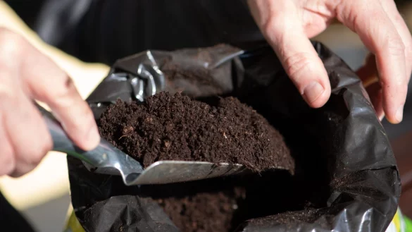 Blumenerde - &copy; Foto: Andrea Warnecke/dpa-tmn