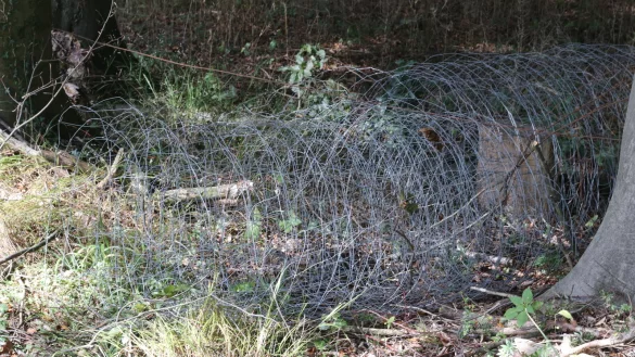 Liegen gelassene Drahtreste im Wald werden zum &Auml;rgernis. Erlaubt sind nur zeitlich begrenzte Einz&auml;unungen. - &copy; Privat.