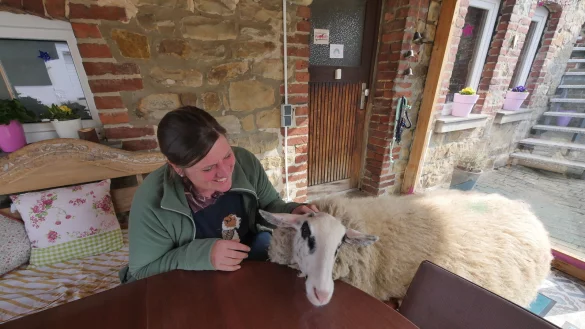 Heute lebt Lämmi das Leben eines Hofhunds. Sie darf sich draußen frei bewegen - und zum Fototermin lässt Anna Klaas sie auch mal in den Wintergarten. - © Jost Wolf