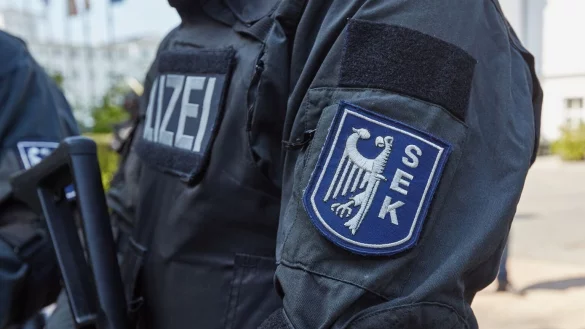 SEK - &copy; Foto: picture alliance / dpa