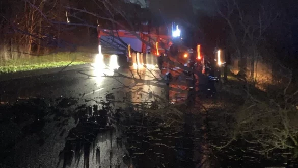 Auch die Ostwestfalenstra&szlig;e kurz vor Lockhausen ist am Sonntag kurzzeitig durch umfallende B&auml;ume gesperrt worden, die Salzufler Wehr konnte die St&auml;mme und &Auml;ste jedoch schnell von der Stra&szlig;e r&auml;umen. - &copy; Feuerwehr Bad Salzuflen