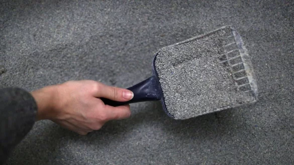 Katzenstreu soll auch Ger&uuml;che binden - &copy; Foto: Ina Fassbender/dpa-tmn