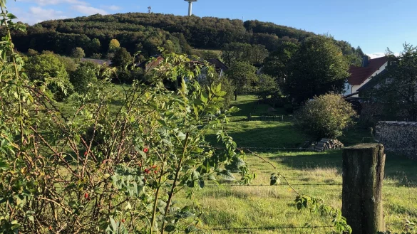 Der K&ouml;terberg ist extra f&uuml;r Autos gesperrt worden, um einen Besucheranturm zu verhindern. - &copy; Silke Buhrmester