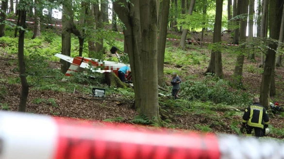 Die Cessna stürzte am 27. Mai in das nahe Waldgebiet bei Borkhausen.  - © Silke Buhrmester