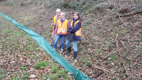 Die ehrenamtlichen Helfer (von links) Friedhelm und Vera Johanning sowie Kirsten Sander. Foto: SPD Kalletal - &copy; SPD Kalletal