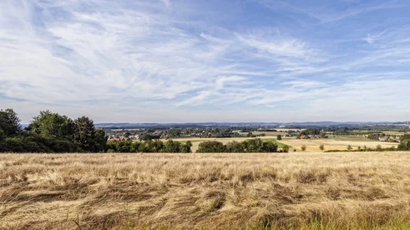 Tolles Panorama: Neben vielen Aktionen am Wegesrand, überzeugt der Familienwanderweg vor allem auch mit wunderschönen Aussichten. - © Torben Gocke