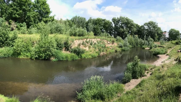 Begaauen mit Manfred Hielscher - &copy; Thomas Reineke