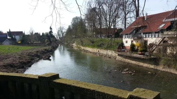 Gefällte Bäume an der Bega am Langenbrücker Tor. - © Thomas Reineke