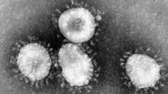 Coronavirus - &copy; Foto: Center for Disease Control/epa/dpa