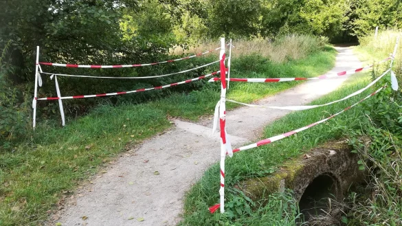 Das Yoga Vidya k&uuml;mmert sich um sichere Wege - wie die Instandhaltung dieser Br&uuml;cke. Das Beseitigen von Pferde&auml;pfeln geh&ouml;rt nicht dazu. - &copy; Elsbeth Waldeck