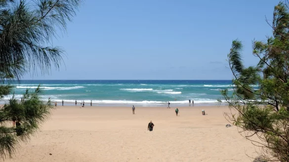 S&uuml;dafrika wird Virusvariantengebiet - &copy; Foto: Michael Zehender/dpa-tmn