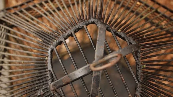 Ein armer Tropf hat 15 Jahre seines Lebens in einer Wohnung zugebracht. Jetzt gibt es in Bielefeld einen zweiten Fall. - &copy; filmlifeaway/pixabay