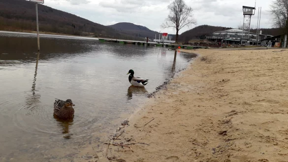 Nur die Enten d&uuml;rfen baden: Der Sandstrand am Freizeitzentrum soll ein wenig Urlaubsatmosph&auml;re verspr&uuml;hen. Schwimmen ist hier aber fr&uuml;hestens im kommenden Jahr erlaubt. - &copy; David Schellenberg